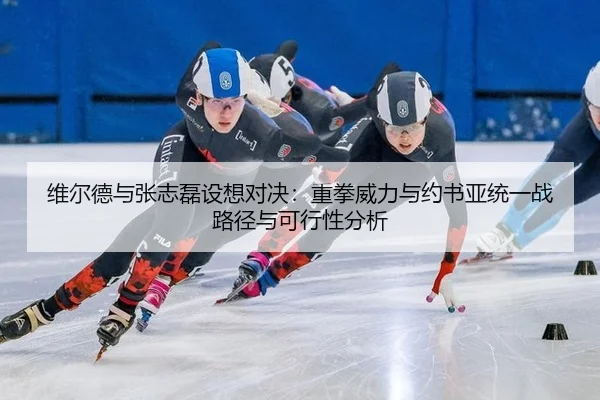 wei-er-de-yu-zhang-zhi-lei-she-xiang-dui-jue-zhong-quan-wei-li-yu-yue-shu-ya-tong-yi-zhan-lu-jing-yu-ke-xing-xing-fen-xi-2-946.jpg